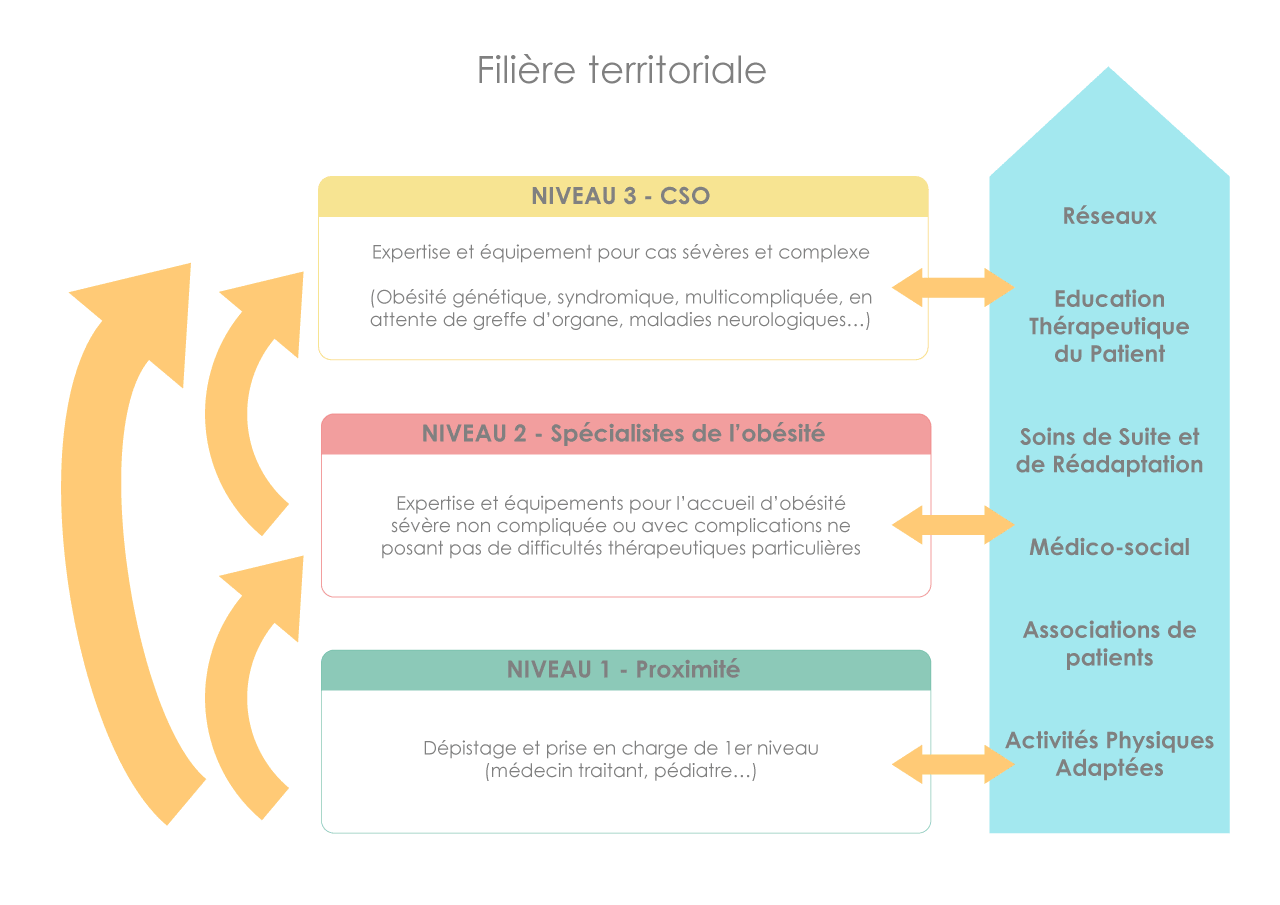 schema-filiere