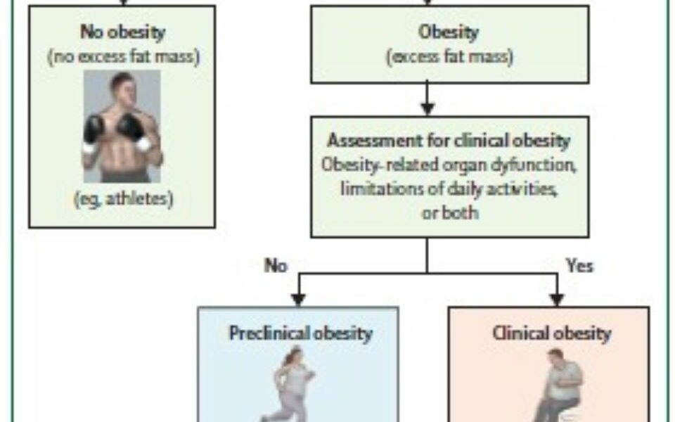 Quand l’obésité devient une maladie – Rapport THE LANCET Diabetes and Endocrinology 2025
