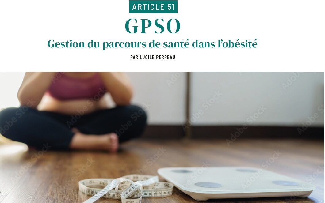 Nouvel Article GPSO